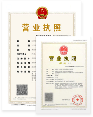 母子公司營(yíng)業(yè)執(zhí)照（正、副本）